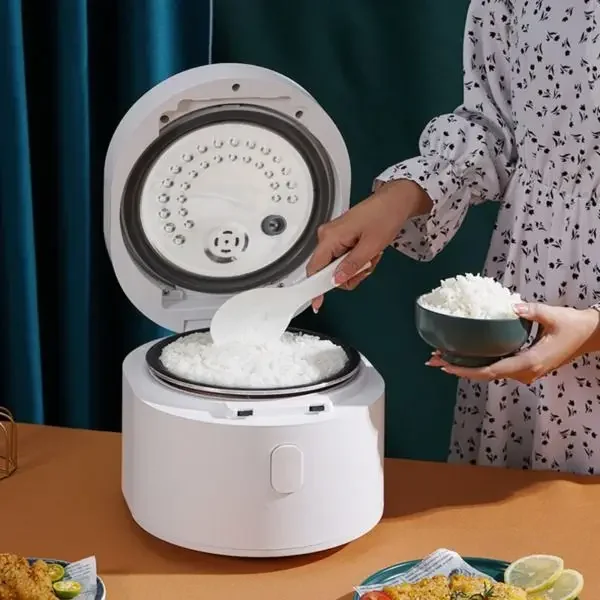 110v akıllı pirinç pişirici 3L - Kitchen Appliances Canada incelemesi ve fiyatı